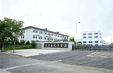 Dengan investasi sebesar 250 juta RMB dan pabrik seluas 40.000㎡, Dongyang Foods telah membangun fondasi yang kuat untuk produksi mie instan berkualitas tinggi.