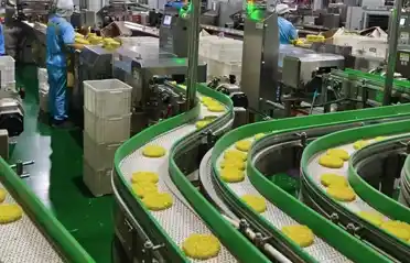 Bagaimana Cara Memilih Mie Instan Blok yang Aman? Melihat ke Dalam Lokakarya Makanan Qinhuangdao Dongyang
